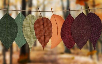 Seasonal Family Photo shoot Ideas