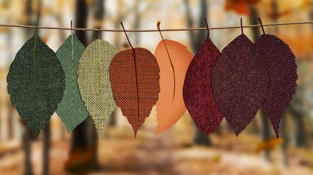 family photographer seasonal shoot